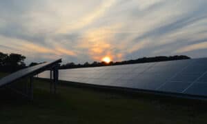 Lee más sobre el artículo Conoce toda la historia de los paneles solares